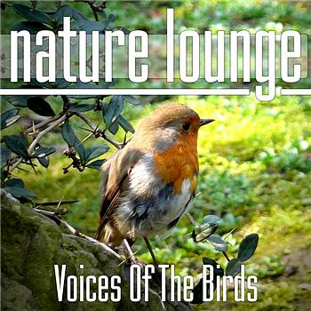 Nature Lounge Club - Voices Of The Birds