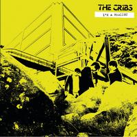The Cribs - I'm A Realist