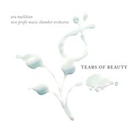 Ara Malikian - Tears of beauty