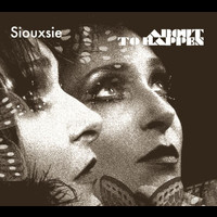 Siouxsie - About To Happen