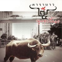 Carabao - 25th Luk Lung Kee Mao