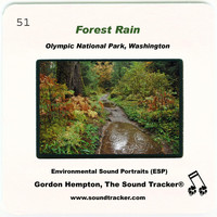Gordon Hempton - Forest Rain