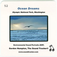Gordon Hempton - Ocean Dreams