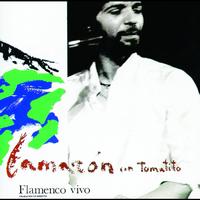 Camarón De La Isla - Flamenco Vivo
