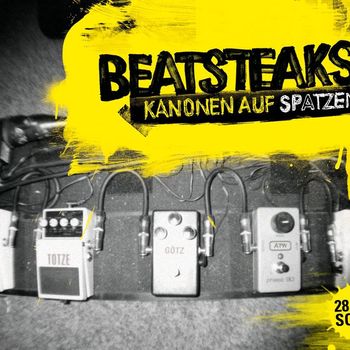 Beatsteaks - KANONEN AUF SPATZEN - 28 Live Songs (Explicit)