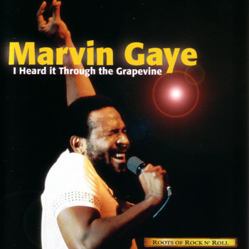 Marvin Gaye - I Heard it Through the Grapevine