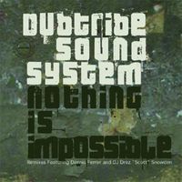 Dub Tribe Sound System - Nothing Is Impossible