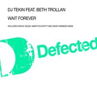 DJ Tekin - Wait Forever (feat. Beth Trollan)