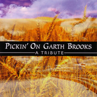 Pickin' On Series - Pickin' On Garth Brooks