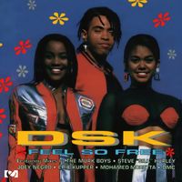 DSK - Feel So Free