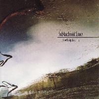 SubArachnoid Space - These Things Take Time