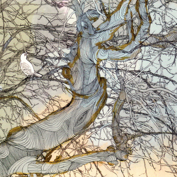 Noe Venable - The Summer Storm Journals