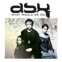 DSK - What Would We Do