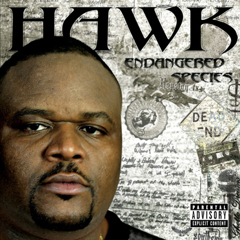Hawk - Endangered Species - Clean