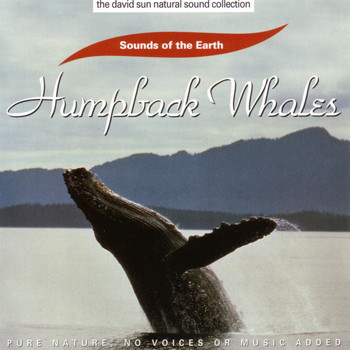 Sounds Of The Earth - Humpback Whales