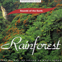 Sounds Of The Earth - Rainforest