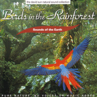 Sounds Of The Earth - Birds In The Rainforest