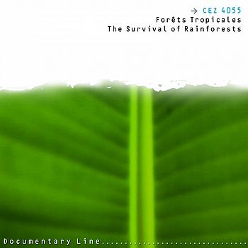 Various Artists - Forêts Tropicales (The Survival of Rainforests)
