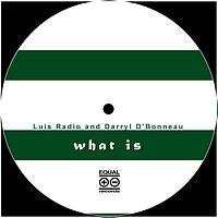 Luis Radio, Darryl D'Bonneau - What Is