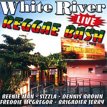 Various Artists - White river reggae bash (live)