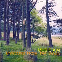 Music A.m. - Unwound from the woods
