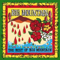 Big Mountain - The Best of Big Mountain