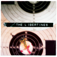 The Libertines - What a Waster (Explicit)