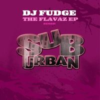 DJ Fudge - The Flavaz EP