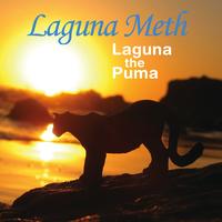 Laguna Meth - Laguna The Puma (Remastered Version)
