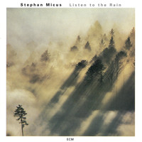 Stephan Micus - Listen To The Rain