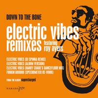 Down To The Bone - Electric Vibes (Remix)