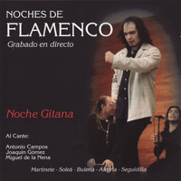 Antonio Campos - Noches de Flamenco - Noche Gitana