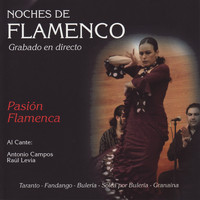 Antonio Campos - Noches de Flamenco - Pasión Flamenca