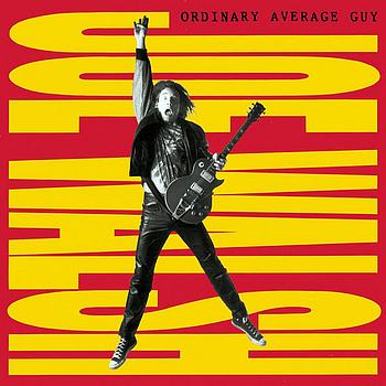 Joe Walsh - Ordinary Average Guy