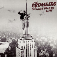 David Bromberg - Wanted Dead Or Alive