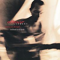Ottmar Liebert - Leaning into the Night