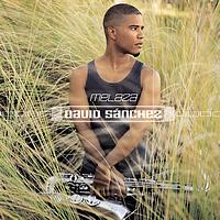 David Sanchez - Melaza