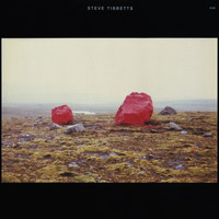 Steve Tibbetts - Exploded View