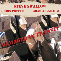 Steve Swallow - Damaged In Transit