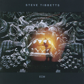Steve Tibbetts - The Fall Of Us All