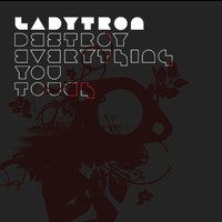 Ladytron - Destroy  Everything You Touch (Single version)