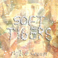 Soft Tigers - Mr Icecream