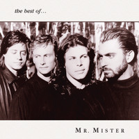 Mr. Mister - The Best of Mr. Mister