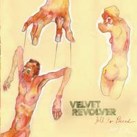 Velvet Revolver - Fall To Pieces