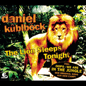 Daniel Küblböck - The Lion Sleeps Tonight
