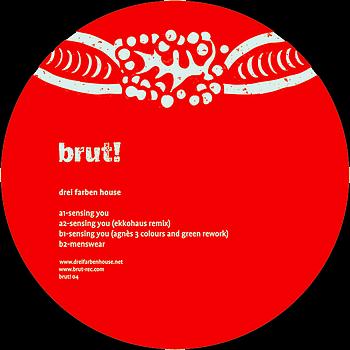 Drei Farben House - Sensing You