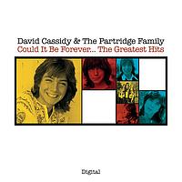 David Cassidy - Could It Be Forever...The Greatest Hits