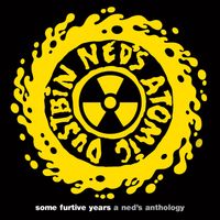 Ned's Atomic Dustbin - some furtive years  -  a ned's anthology