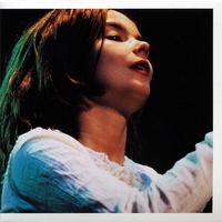 Björk - Debut Live