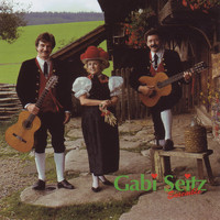 Gabi Seitz Ensemble - Gabi Seitz Ensemble